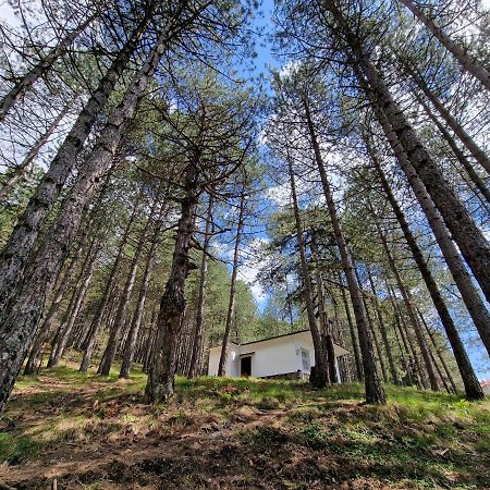 Vila Bujtinat Skenderi Gjinar 2 Exteriér fotografie