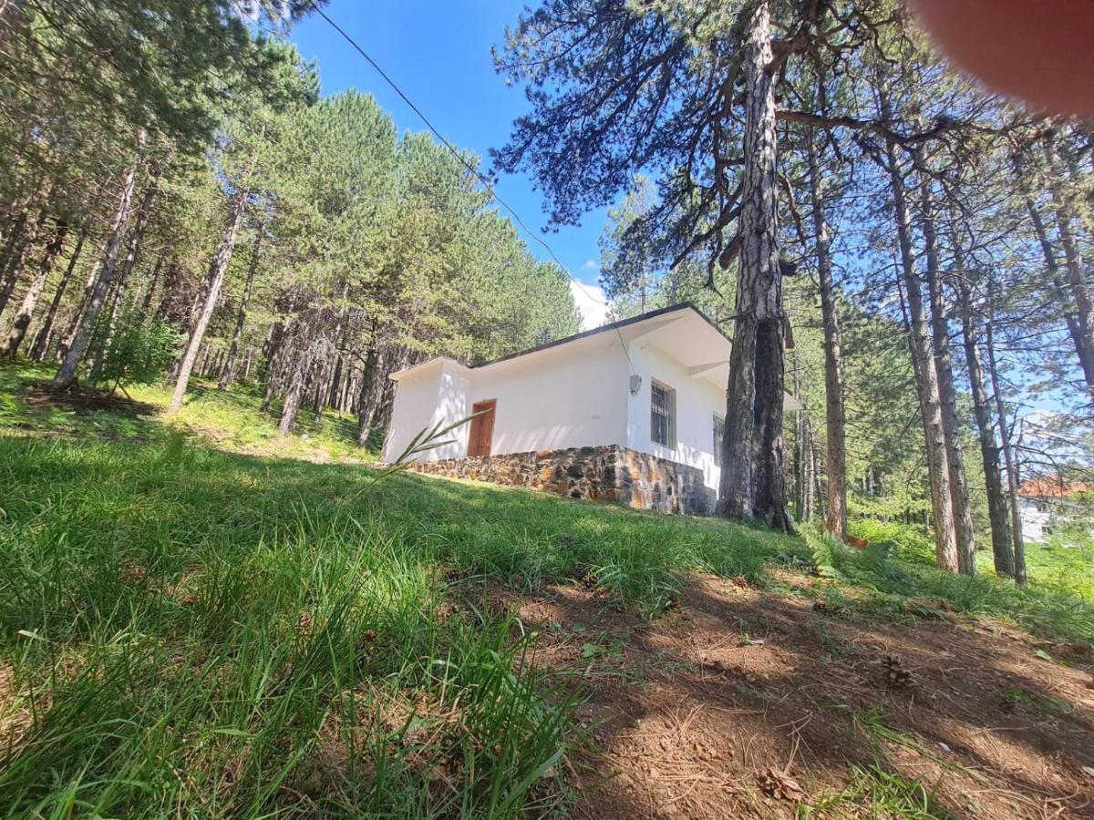 Vila Bujtinat Skenderi Gjinar 2 Exteriér fotografie