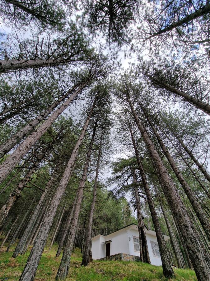 Vila Bujtinat Skenderi Gjinar 2 Exteriér fotografie