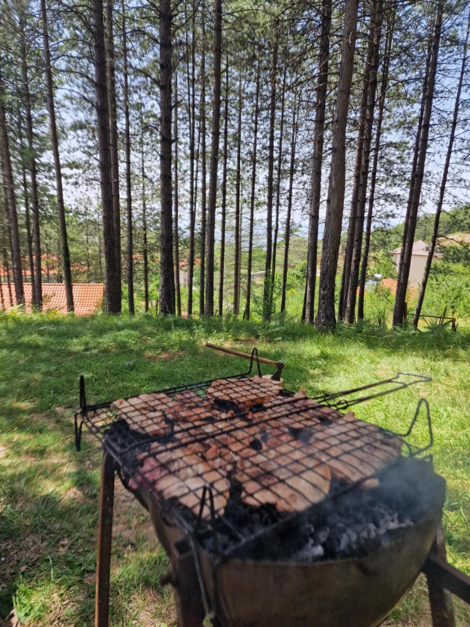 Vila Bujtinat Skenderi Gjinar 2 Exteriér fotografie