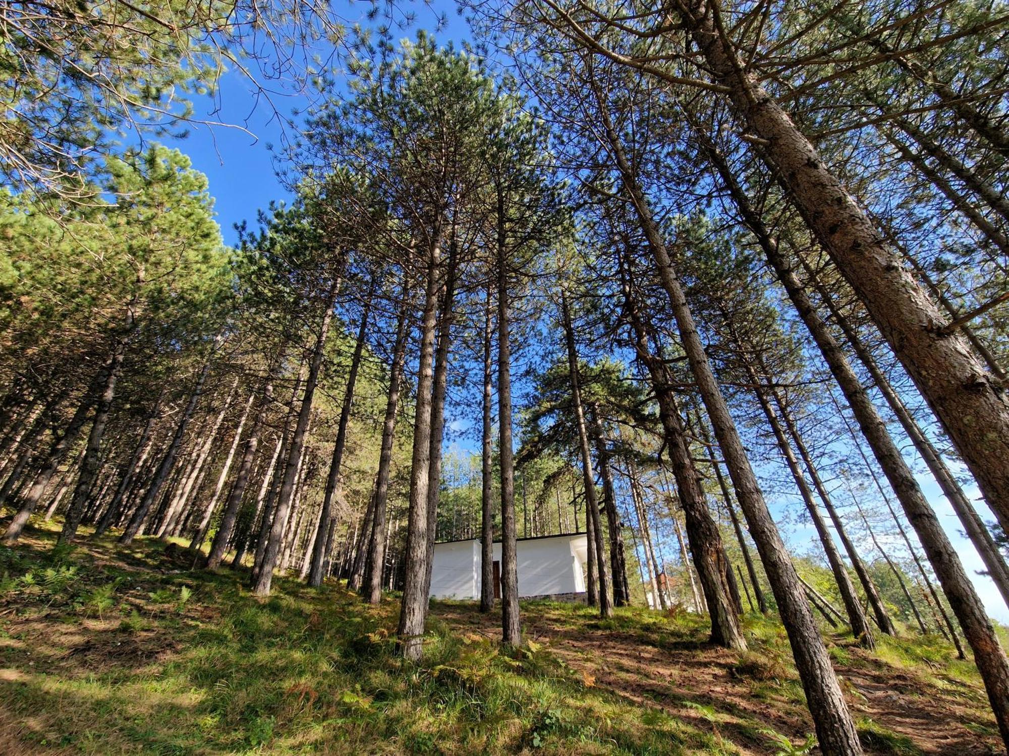 Vila Bujtinat Skenderi Gjinar 2 Pokoj fotografie